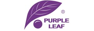 Purple Leaf