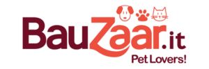 Bauzaar IT Logo