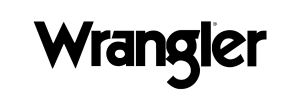 Wrangler IT Logo